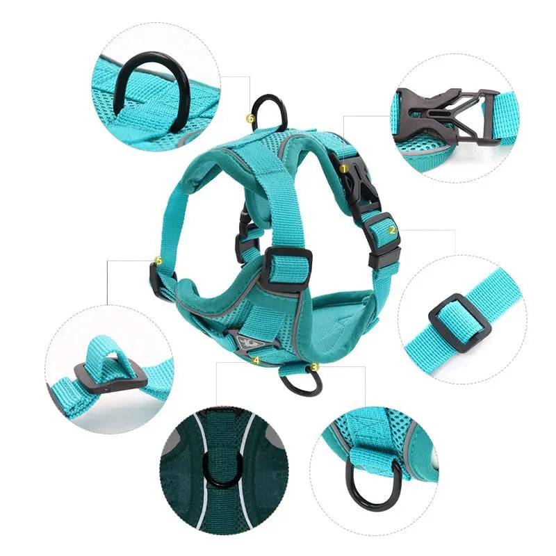 Cyan Dog Harness Leash Set Reflective Breathable Vest Adjustable Chest Strap TRENDYPET'S ZONE