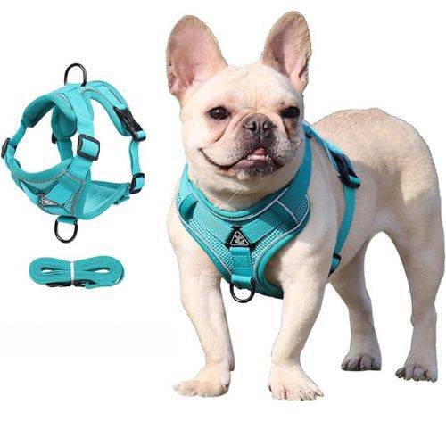 Cyan Dog Harness Leash Set Reflective Breathable Vest Adjustable Chest Strap TRENDYPET'S ZONE