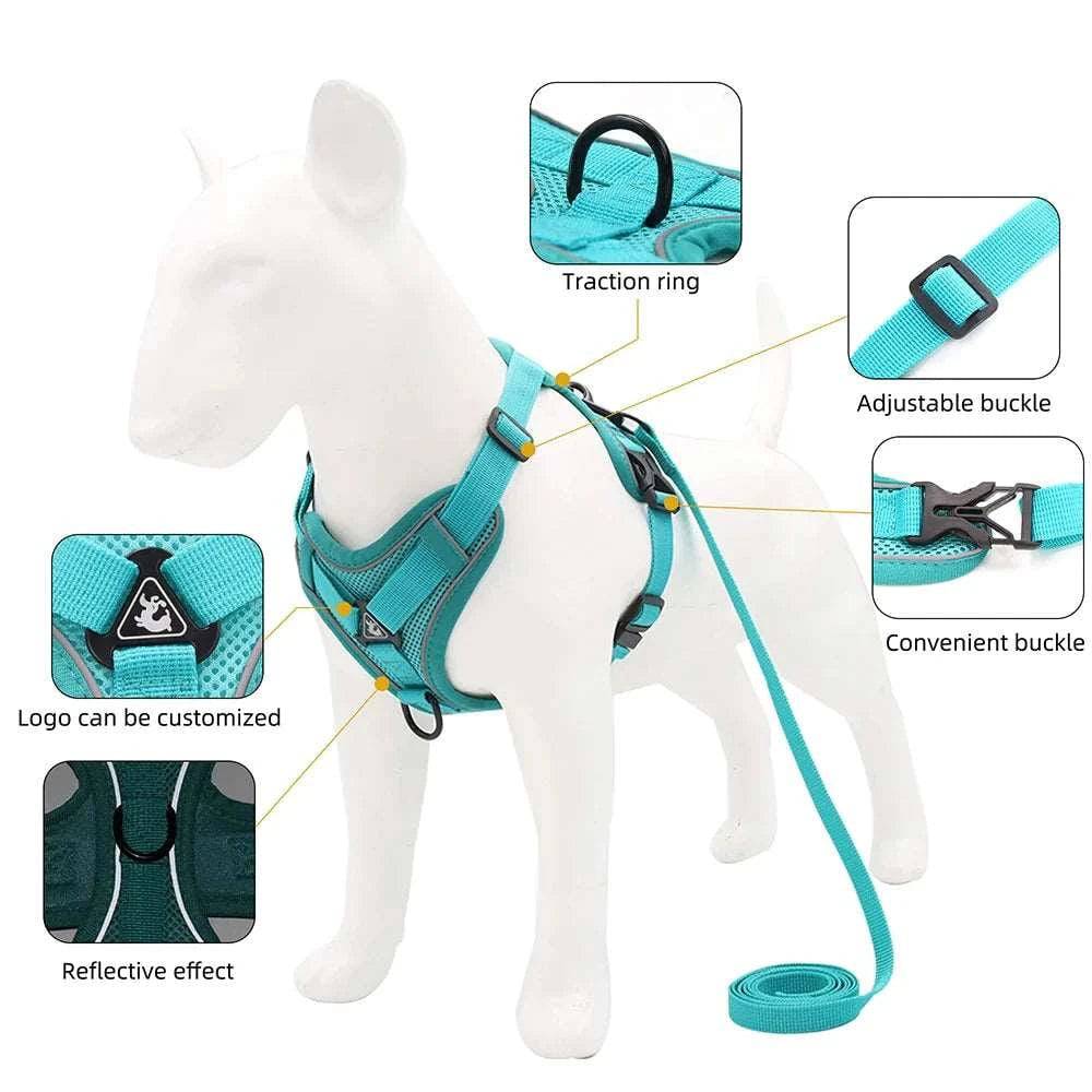 Cyan Dog Harness Leash Set Reflective Breathable Vest Adjustable Chest Strap TRENDYPET'S ZONE