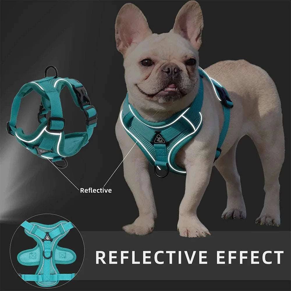 Cyan Dog Harness Leash Set Reflective Breathable Vest Adjustable Chest Strap TRENDYPET'S ZONE