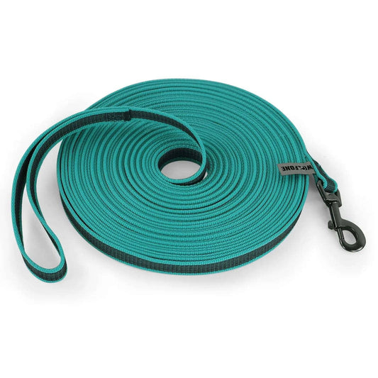 Cyan Dog Leash Latex Silk Easy and Convenient Training Big Dual Color TRENDYPET'S ZONE