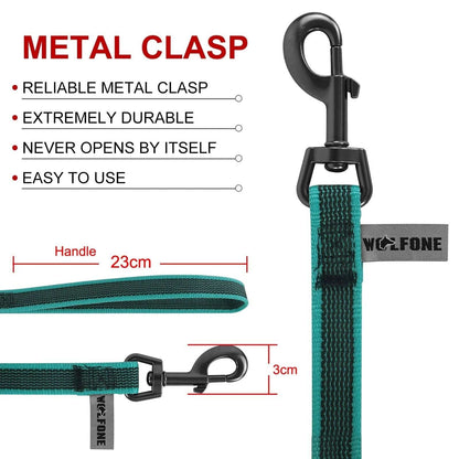 Cyan Dog Leash Latex Silk Easy and Convenient Training Big Dual Color TRENDYPET'S ZONE