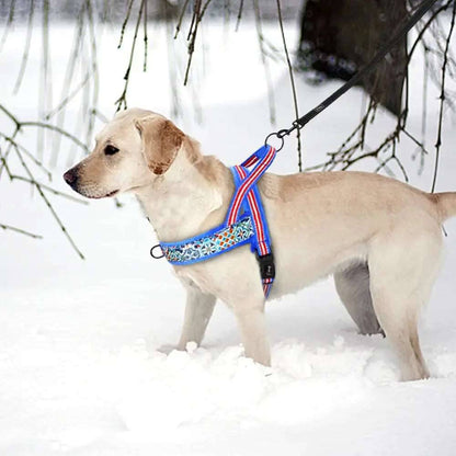 Cyan Warm Harness Vest Winter Soft Padded Pet Training Adjustable For Small Large Dog Puppy TRENDYPET'S ZONE