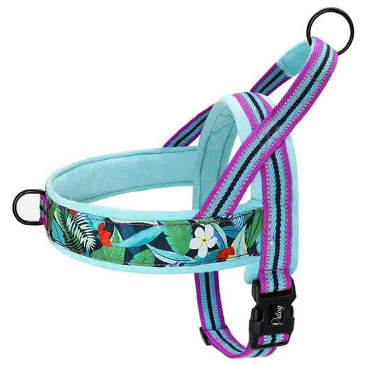 Cyan With Flower Warm Harness Vest Winter Soft Padded Pet Training Adjustable For Small Large Dog Puppy TRENDYPET'S ZONE