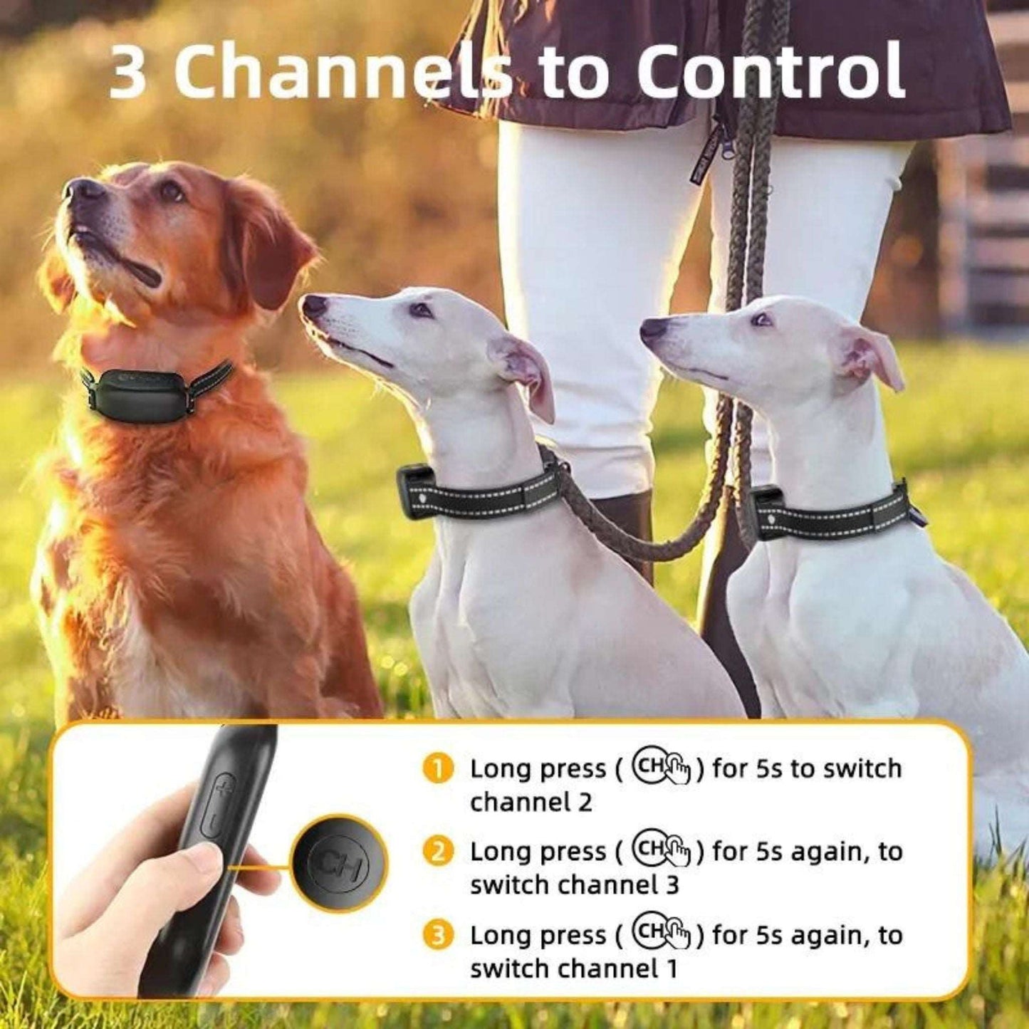 Dog Shock Collar, IPX7 Waterproof Dog Training Collar with 3300FT Remote, Rechargeable Shock Collar for Large Medium Small Dog，3 Training Modes with Beep, Vibration and Shock, Reflective Dog Collar - Trendypet's Zone