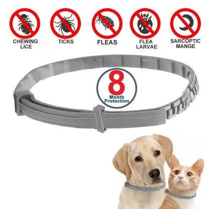 Flea and Tick Collar for Cats, 8-Month Flea and Tick Collar - Trendypet's Zone