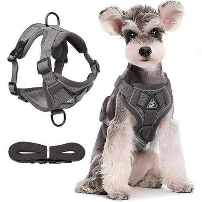 Gray Dog Harness Leash Set Reflective Breathable Vest Adjustable Chest Strap TRENDYPET'S ZONE