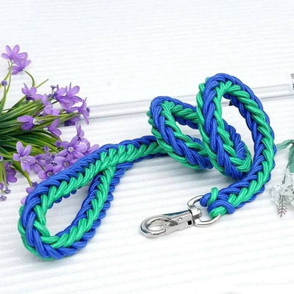 Green Blue Super Strong Coarse Nylon Dog Leash Double Row Adjustable Collar For Medium Large Dogs TRENDYPET'S ZONE