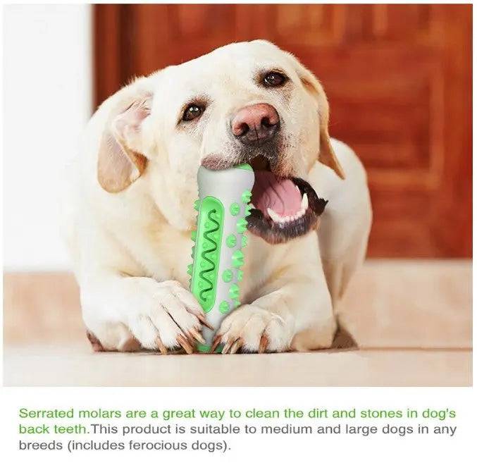 Green Dog Teeth Grinding Stick Gnawing Teeth Clean Bone Dog Tooth Brush Chewing Gum Pet Toy Dog Bite Resistant Molar Training Grinding TRENDYPET'S ZONE