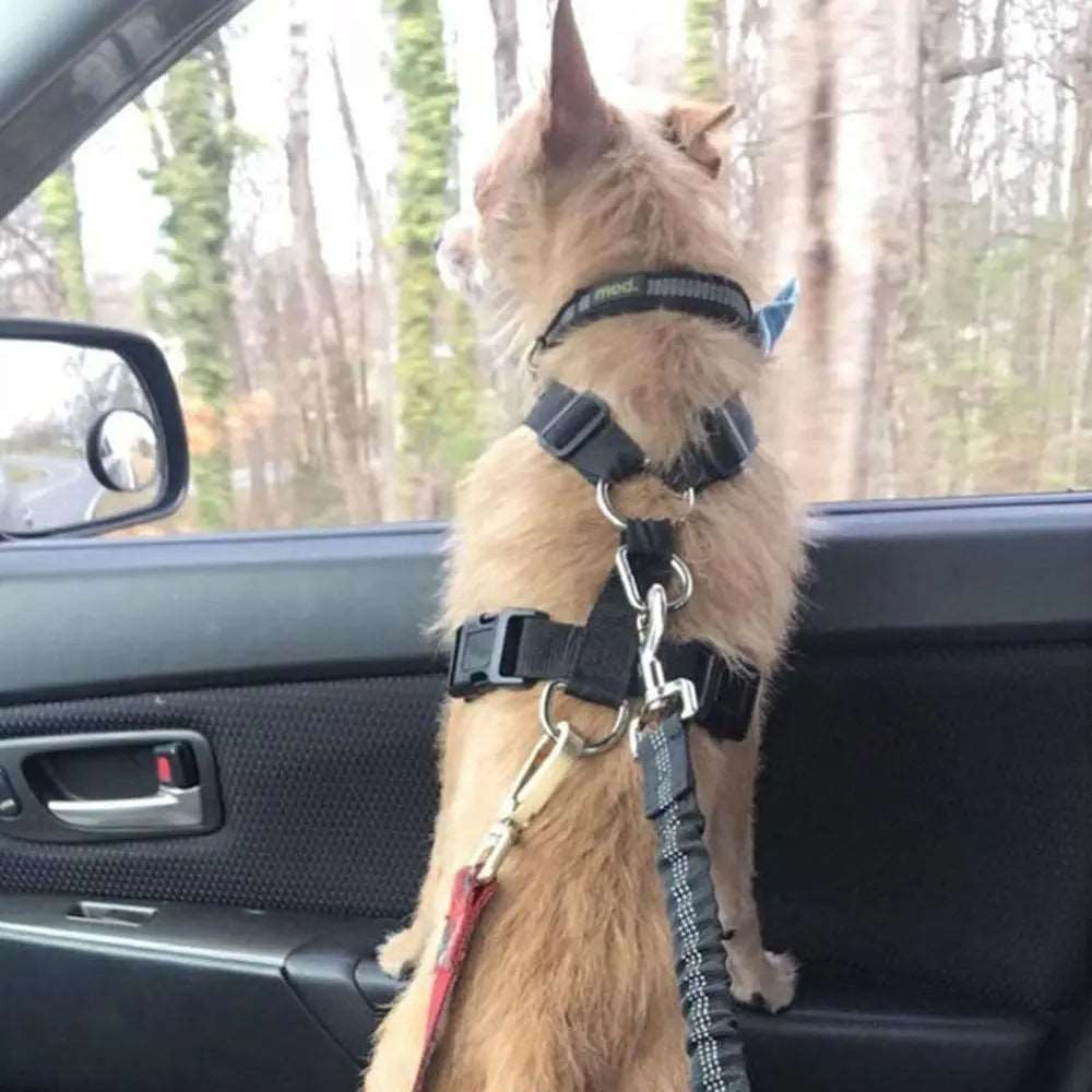 Green Elastic Pet Supplies Car Seat Belt Dog Seat Belt Dog Leash Vehicle Belt Adjustable Cushioning Elastic Reflective Safety Rope for Dog Cat TRENDYPET'S ZONE