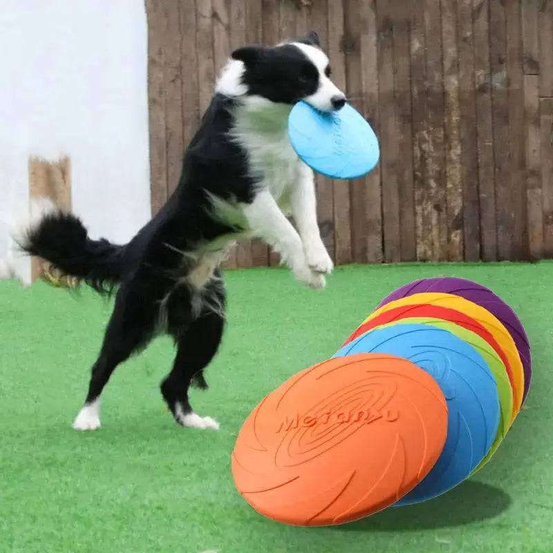 Green Fashion Pet Dog Silicone Game Frisbeed Dog Toy Flying Discs Training Interactive Toys Pet Supplies Flying Disc 15/18/22cm TRENDYPET'S ZONE