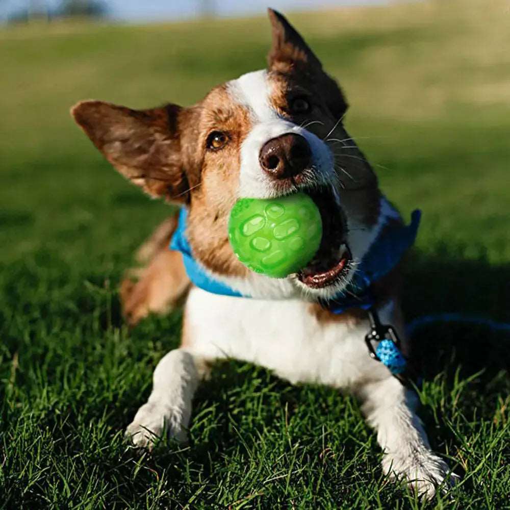 Green Pet Dog Puppy Sounding Toy Squeaky Tooth Cleaning Ball Playing Pet Teeth Chew Rubber Toy Float Funny Pet Dental Care Accessories TRENDYPET'S ZONE