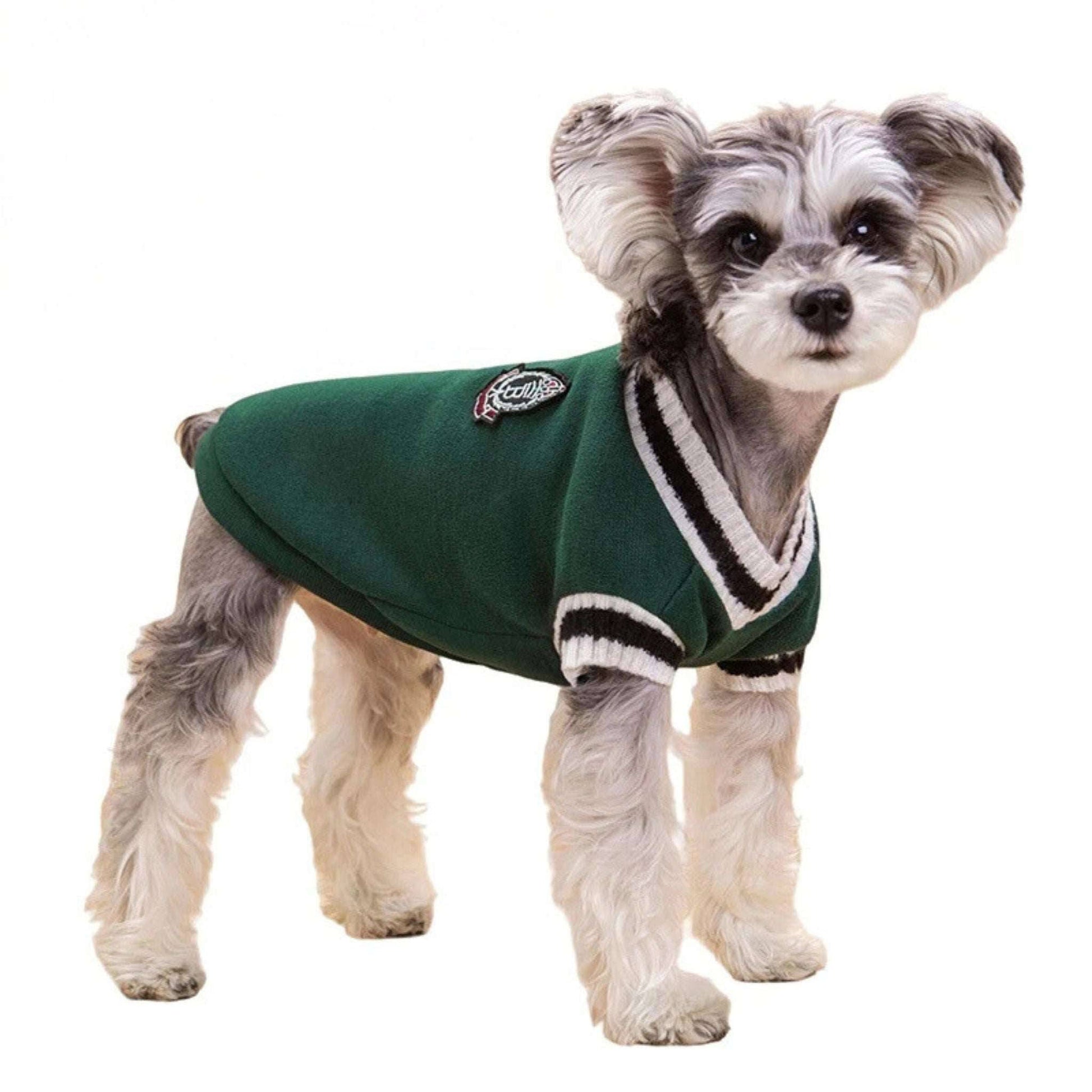 Green Preppy Style V-Neck Dog Sweater Warm Winter Pet Cloth TRENDYPET'S ZONE