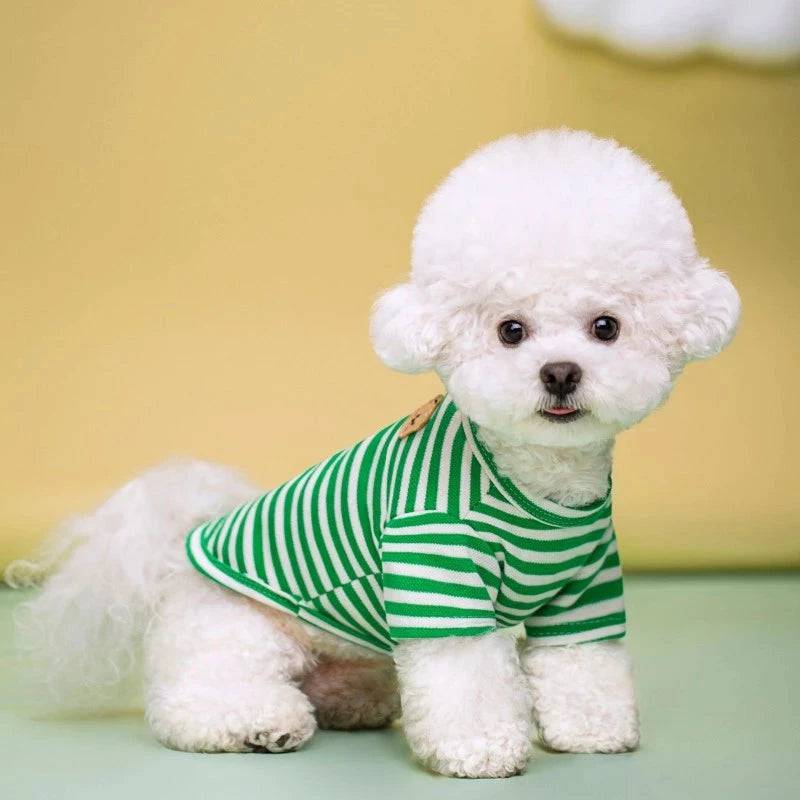 Green Summer Clothes for Small Dogs Fashion T-Shirt Bear Print Puppy Thin Strip Vest Pet Clothes TRENDYPET'S ZONE