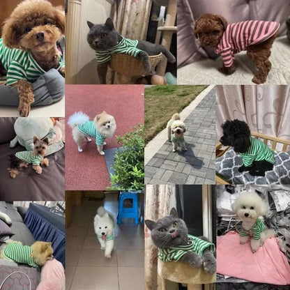 Green Summer Clothes for Small Dogs Fashion T-Shirt Bear Print Puppy Thin Strip Vest Pet Clothes TRENDYPET'S ZONE