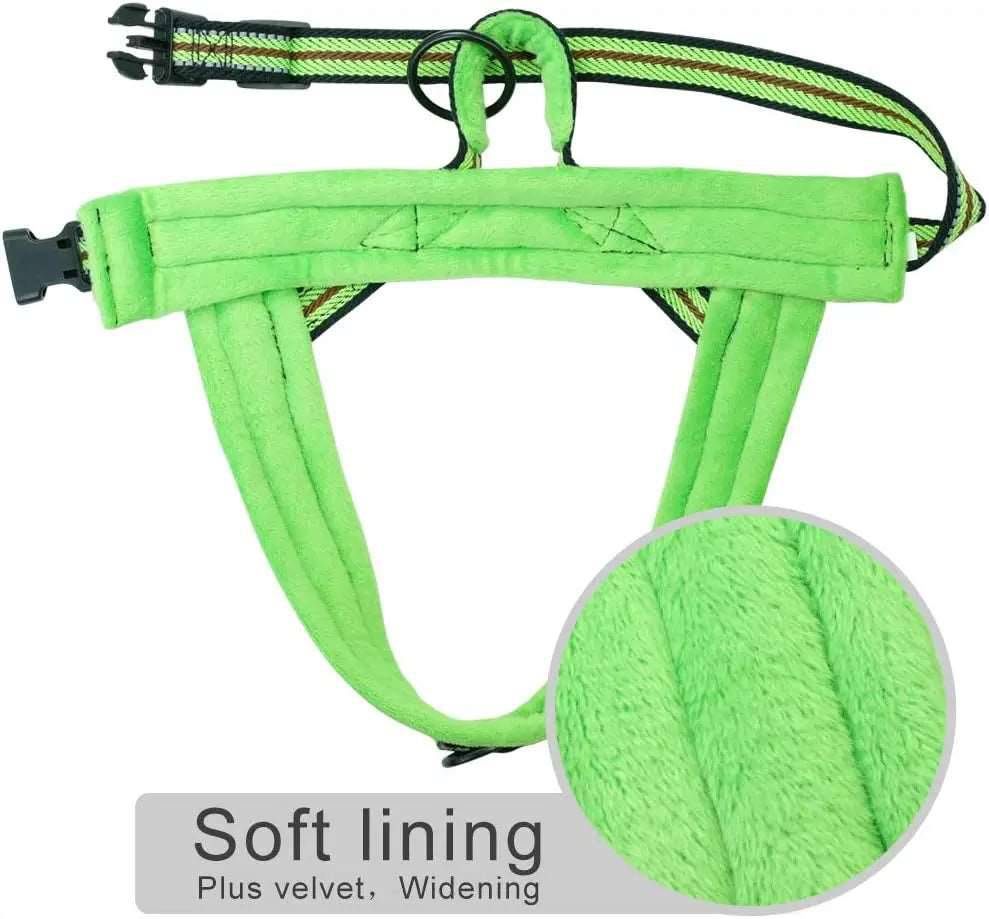 Green With Flower Warm Harness Vest Winter Soft Padded Pet Training Adjustable For Small Large Dog Puppy TRENDYPET'S ZONE