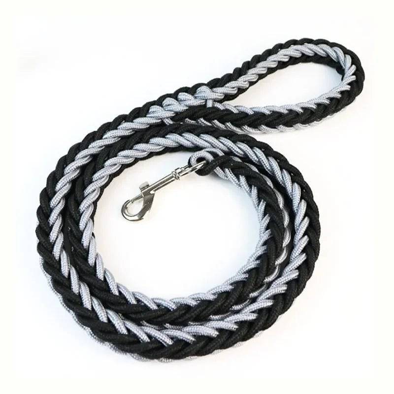 Grey Black Super Strong Coarse Nylon Dog Leash Double Row Adjustable Collar For Medium Large Dogs TRENDYPET'S ZONE