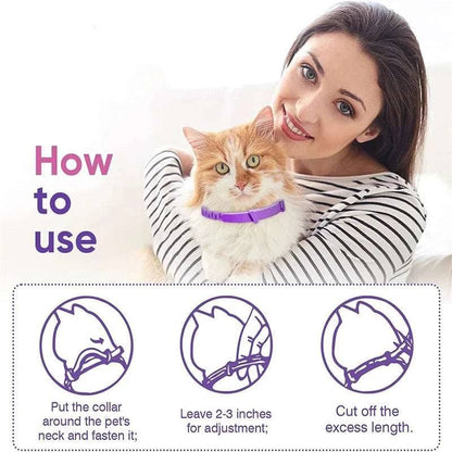 Grey Cat Calming Collar 4Packs/30Days Relieve Anxiety Protection Retractable Collars For Kitten to Large Cats - Trendypet's Zone