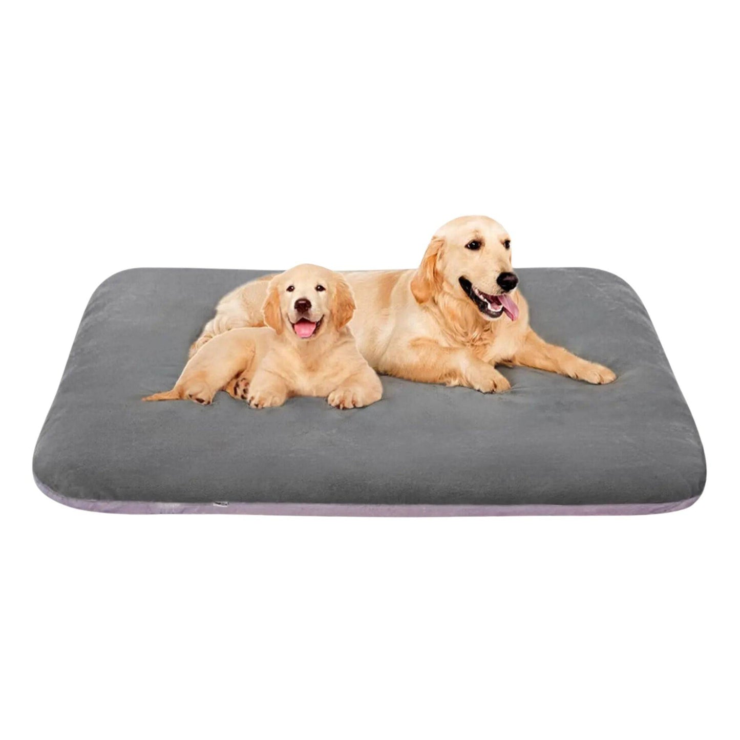 Grey Orthopedic Foam Dog Bed with Removable and Washable Cover for Large Dogs, Anti-Slip Bottom Jumbo Size 47" x 39" x 4" - Trendypet's Zone