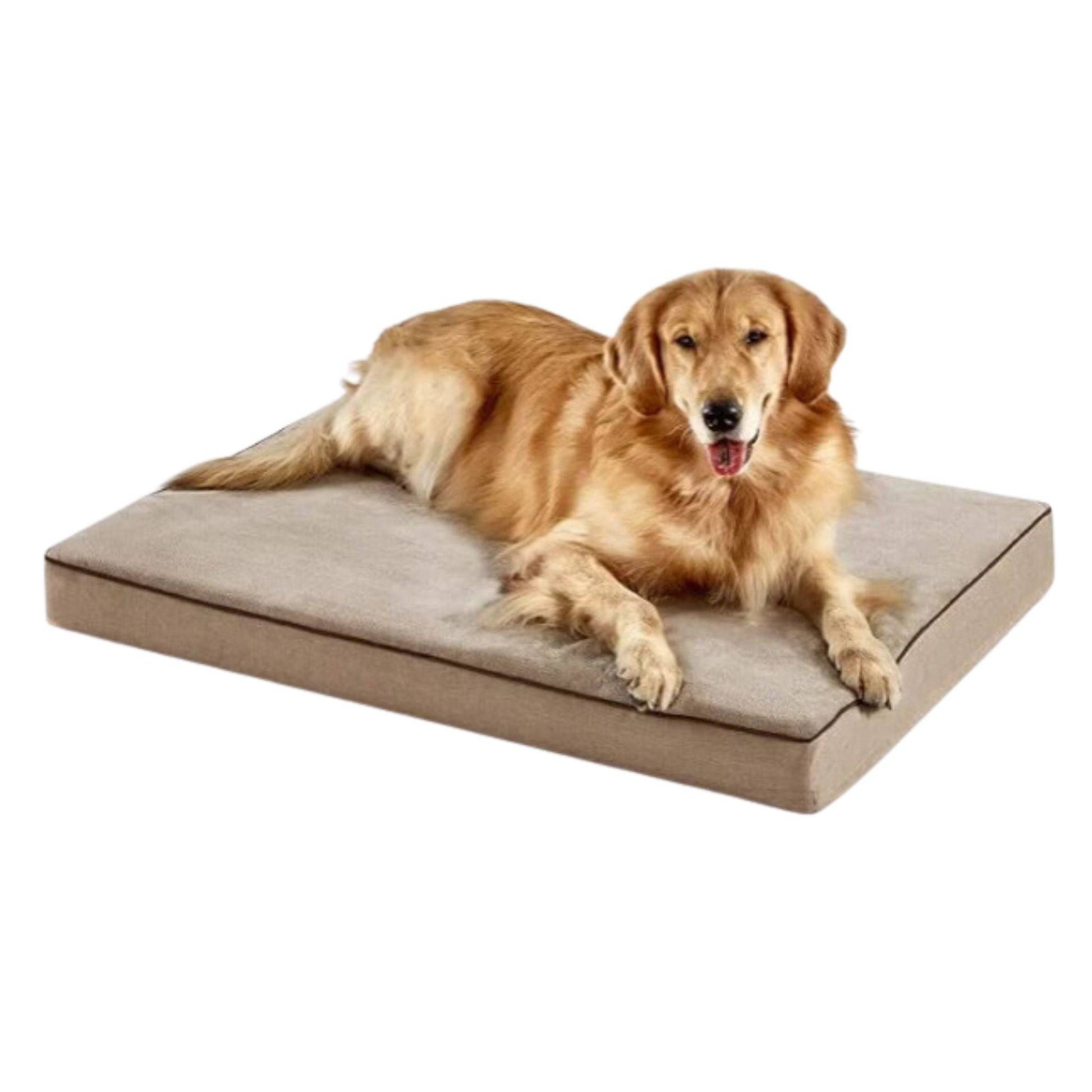 Khaki Orthopedic Waterproof Dog Bed with Removable Washable Cover and Nonskid Bottom for Crate, Memory Foam XL Size 41" x 29" × 3.5" TRENDYPET'S ZONE