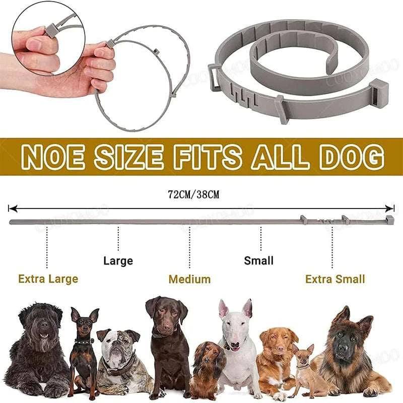 Large Dog Flea and Tick Collar, 8-Month Flea and Tick Collar - Trendypet's Zone