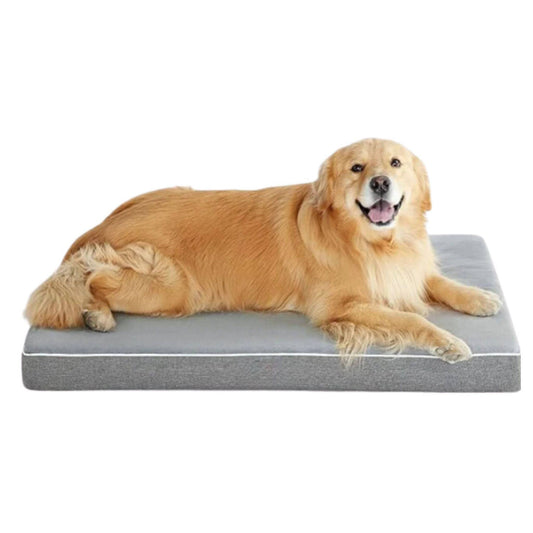 Light Grey Orthopedic Waterproof Dog Bed with Removable Washable Cover and Nonskid Bottom for Crate, Memory Foam XL Size 41" × 29" × 3.5" - Trendypet's Zone