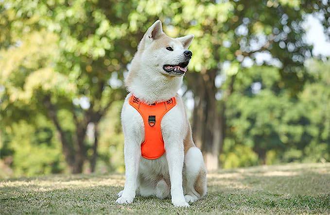 Orange 1000D Oxford Cloth Reflective Pet Dog Harness Service Vest with Vertical Handle Adjustable Collars TRENDYPET'S ZONE