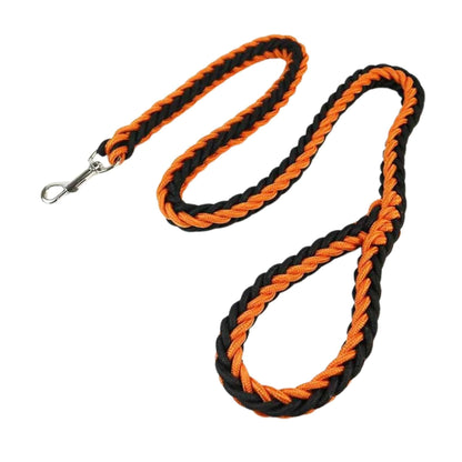 Orange Black Super Strong Coarse Nylon Dog Leash Double Row Adjustable Collar For Medium Large Dogs TRENDYPET'S ZONE