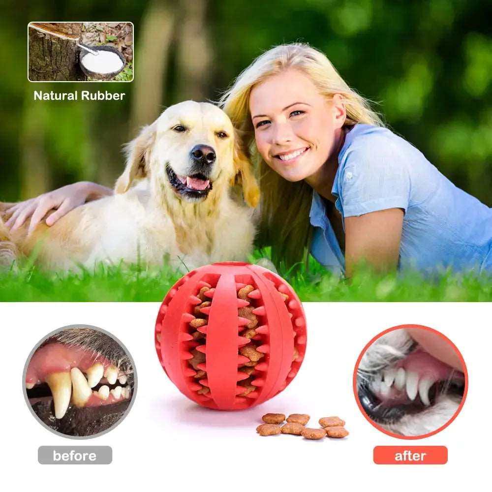 Orange Interactive Dog Ball Toys Dispenser Teaser Rubber Chew Toys for Small Big Pet Dogs Cats Tooth Mouth Cleaning Accessories Product TRENDYPET'S ZONE