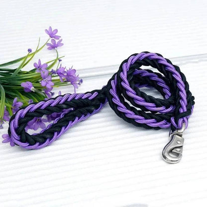 Purple Black Super Strong Coarse Nylon Dog Leash Double Row Adjustable Collar For Medium Large Dogs TRENDYPET'S ZONE