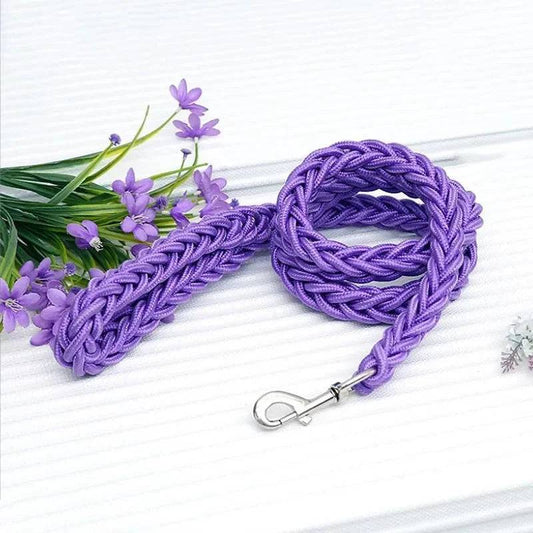 Purple Super Strong Coarse Nylon Dog Leash Double Row Adjustable Collar For Medium Large Dogs TRENDYPET'S ZONE