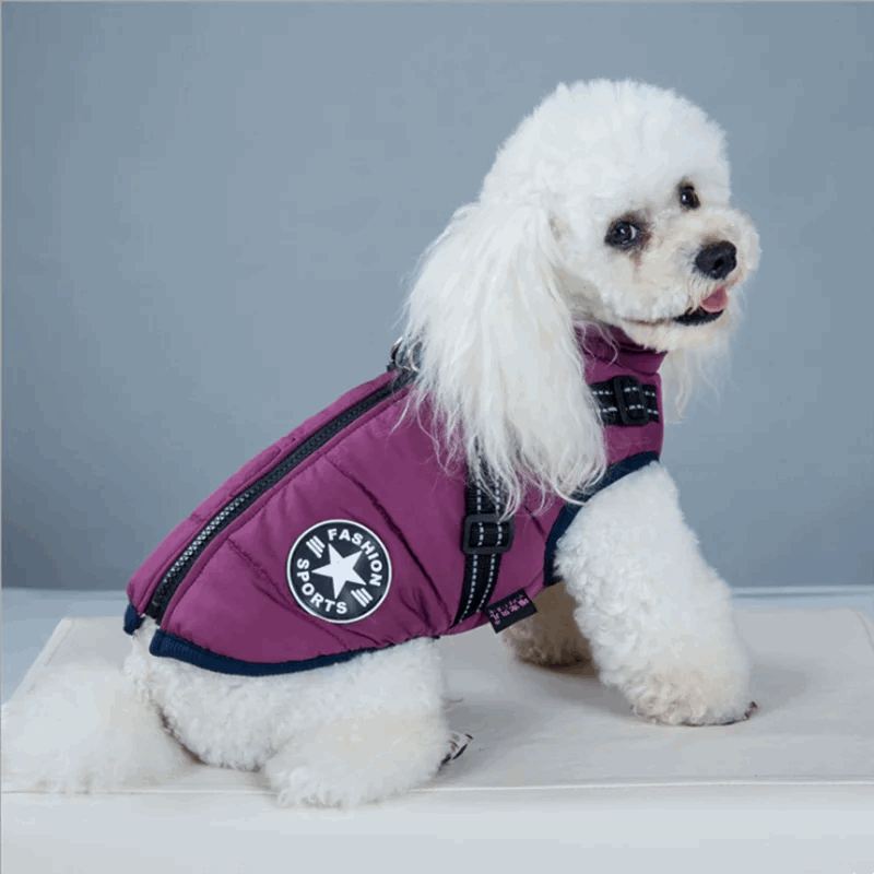 Purple Winter Pet Clothes For Small Large Dogs Warm Fleece Jacket Waterproof With Harness Clothing Puppy Costume TRENDYPET'S ZONE