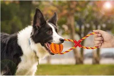 Red Ball Blue & Yellow Hemp Rope Toys Treat Interactive Rubber Leaking Balls for Small Dogs Chewing Bite Resistant Pet Tooth Cleaning TRENDYPET'S ZONE