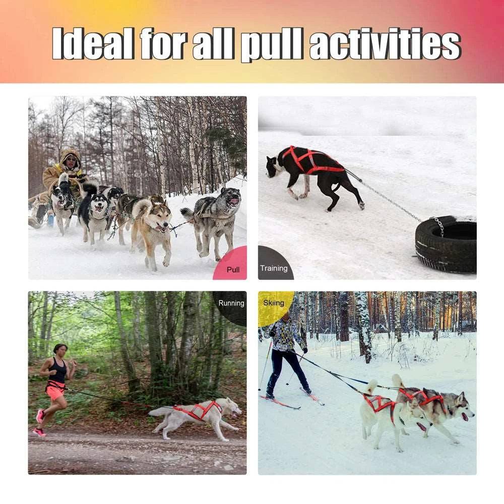 Red Dog Sledding Harness Reflective Pet Skijoring Harness Waterproof Big Large Dogs Weight Pulling Vest For Pet Training TRENDYPET'S ZONE