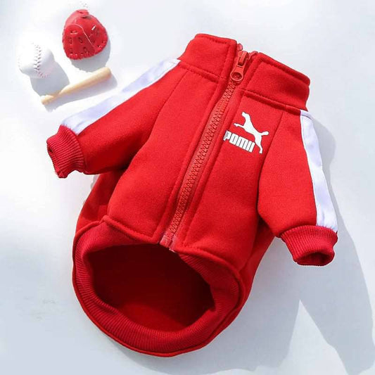 Red Luxury Dog Clothes Warm Fashion Pet Sweatshirt TRENDYPET'S ZONE