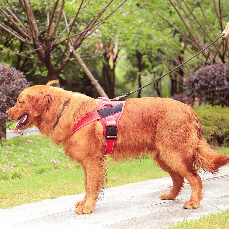 Red Nylon Reflective Dog Harness Personalized Breathable With ID Patch TRENDYPET'S ZONE