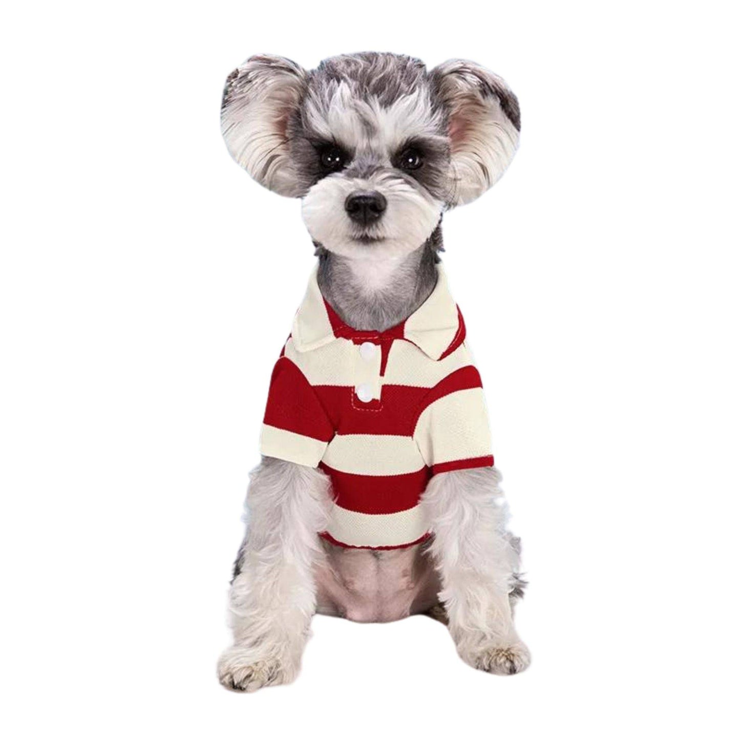 Red Pet Polo Shirt Summer Dog Clothes Casual Clothing for Small Large Puppy T-shirt Shirts TRENDYPET'S ZONE