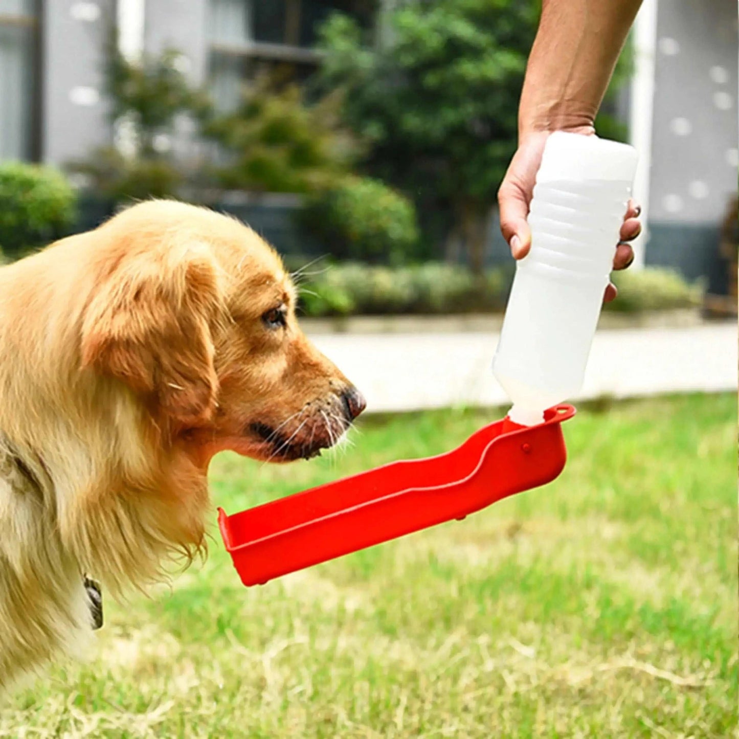 Red Portable Pet Travel Water Bowl Bottle Feeder Drinking Fountain TRENDYPET'S ZONE