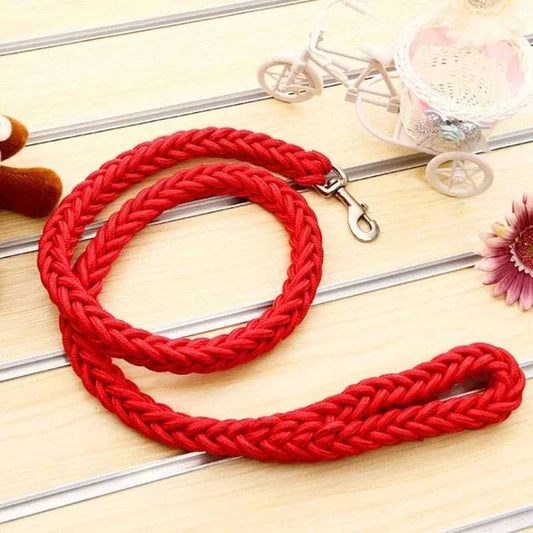 Red Super Strong Coarse Nylon Dog Leash Double Row Adjustable Collar For Medium Large Dogs - Trendypet's Zone