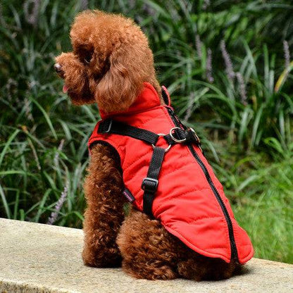 Red Waterproof Dog Vest Jacket with Harness Winter Coats TRENDYPET'S ZONE