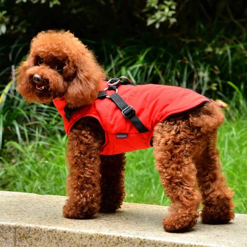 Red Waterproof Dog Vest Jacket with Harness Winter Coats TRENDYPET'S ZONE