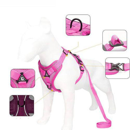 Rose Red Dog Harness Leash Set Reflective Breathable Vest Adjustable Chest Strap TRENDYPET'S ZONE