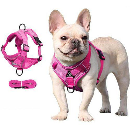 Rose Red Dog Harness Leash Set Reflective Breathable Vest Adjustable Chest Strap TRENDYPET'S ZONE