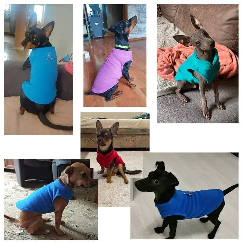 Royal Blue Winter Fleece Pet Dog Clothes Puppy Costumes Jacket Vest TRENDYPET'S ZONE