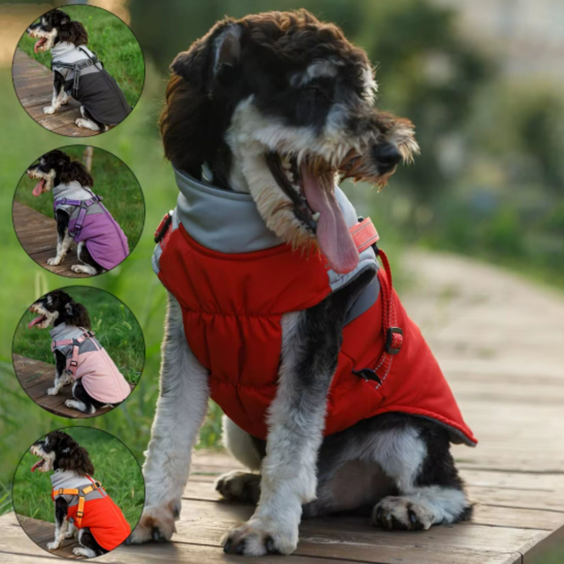 Warm Dog Coat Autumn Winter Jacket with Harness Cold Weather Waterproof Clothes Outfit TRENDYPET'S ZONE