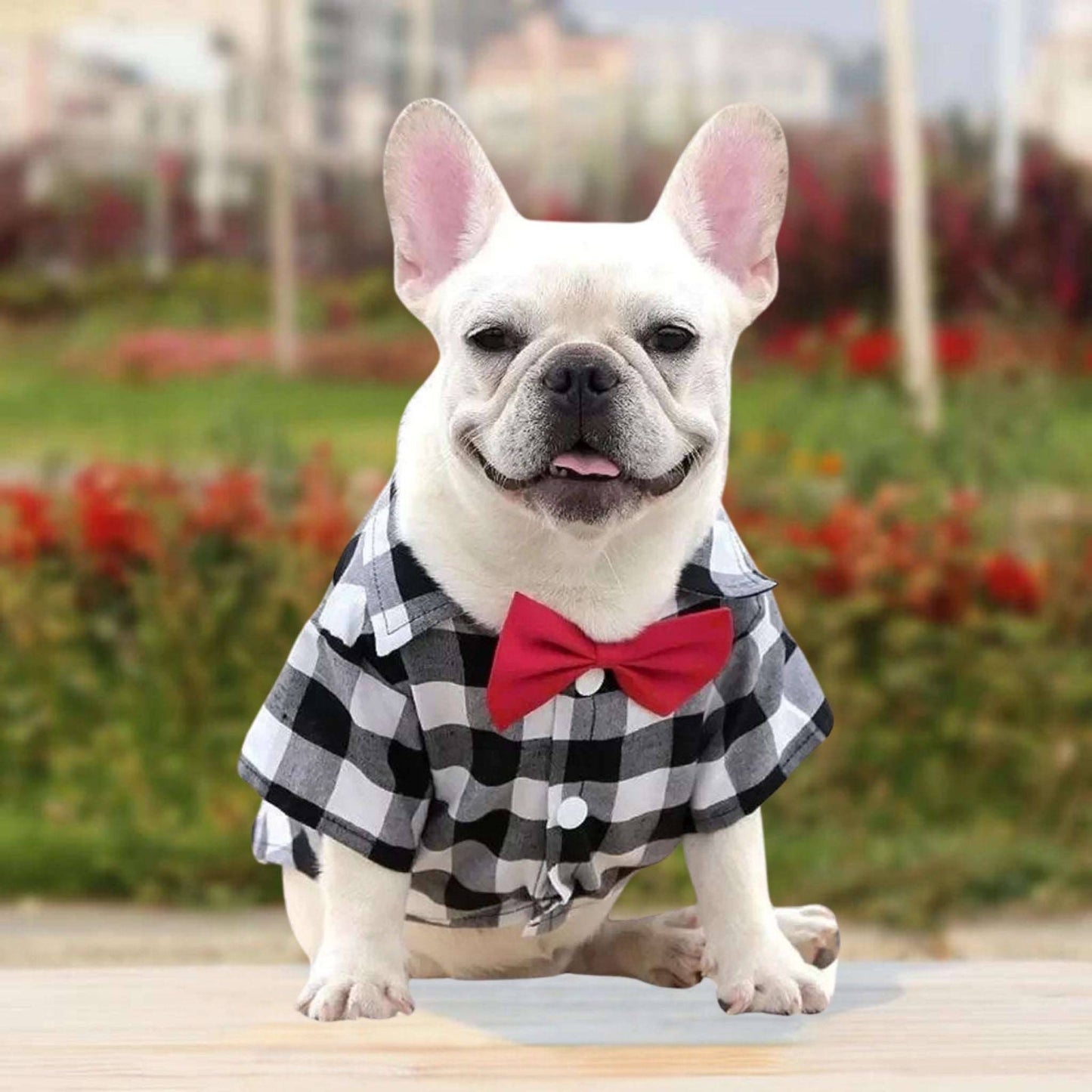 White Bowtie Dog Shirts Classical Plaid Thin Breathable Summer Clothes for Small Large Dogs Puppy Vest Chihuahua Yorkies TRENDYPET'S ZONE