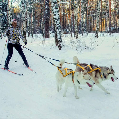 Yellow Dog Sledding Harness Reflective Pet Skijoring Harness Waterproof Big Large Dogs Weight Pulling Vest For Pet Training TRENDYPET'S ZONE